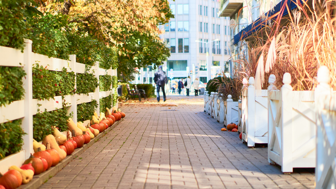 October Opportunity Challenge: 10 Empowering Habits for Growth and Connection