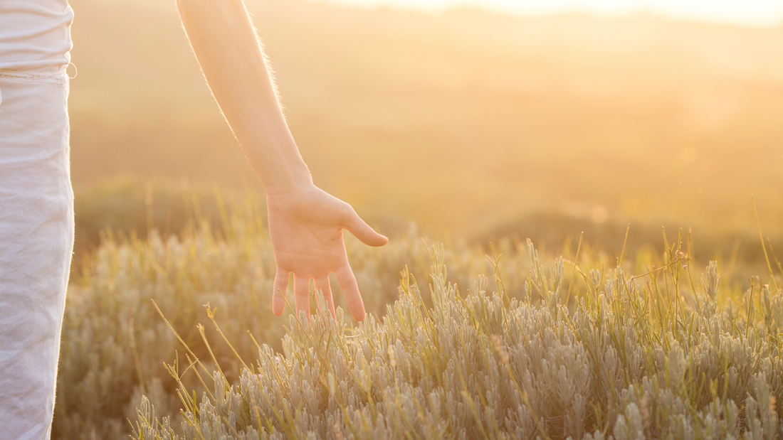 April Awakening: 5 Ways to Awaken Your Most Authentic Self This Month